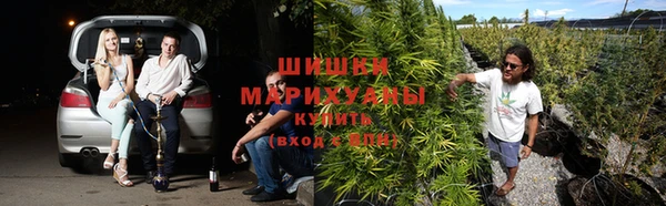 тгк Осинники