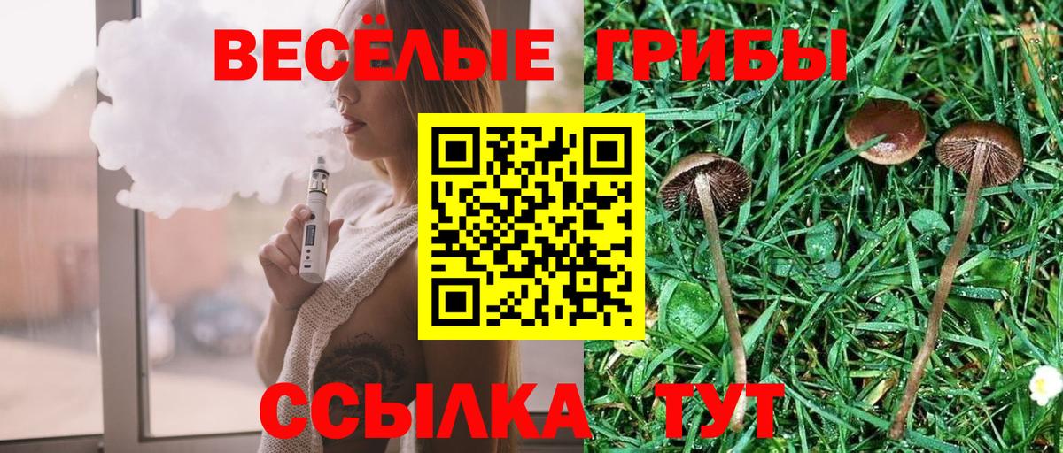 Уссурийск  Галлюциногенные грибы мухоморы  Псилоцибиновые грибы Magic Shrooms  Вход с VPN 