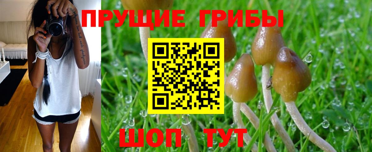 Псилоцибиновые грибы мицелий  Галлюциногенные грибы GOLDEN TEACHER  купить  цена  Уссурийск 