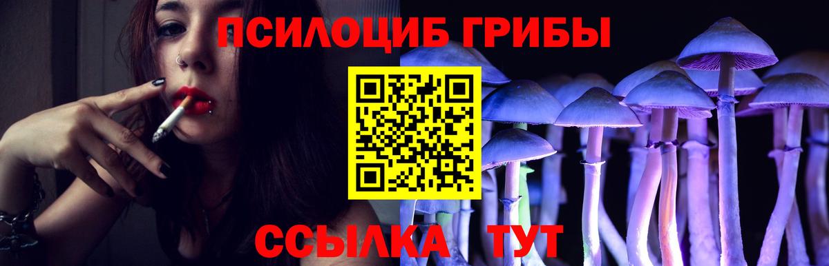 Галлюциногенные грибы Magic Shrooms Уссурийск